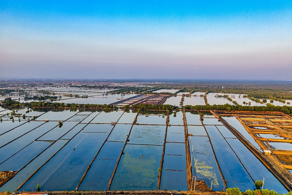 Nuôi trồng thủy sản bền vững với 5 giải pháp