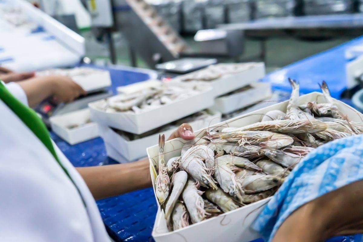 Thủy sản Việt Nam giữ vững top 3 nguồn cung lớn nhất tại Singapore